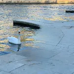 De Standing Avec Piscine A Debordement, Jacuzzi Et Jardin A 5 Min Du Centre De Villa Nîmes