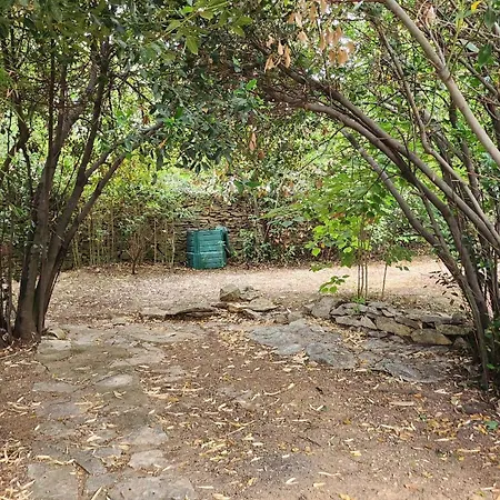 De Standing Avec Piscine A Debordement, Jacuzzi Et Jardin A 5 Min Du Centre De 尼姆