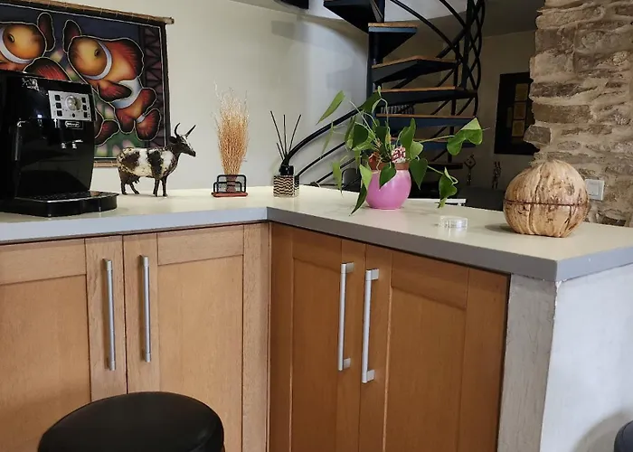 Willa De Standing Avec Piscine A Debordement, Jacuzzi Et Jardin A 5 Min Du Centre De